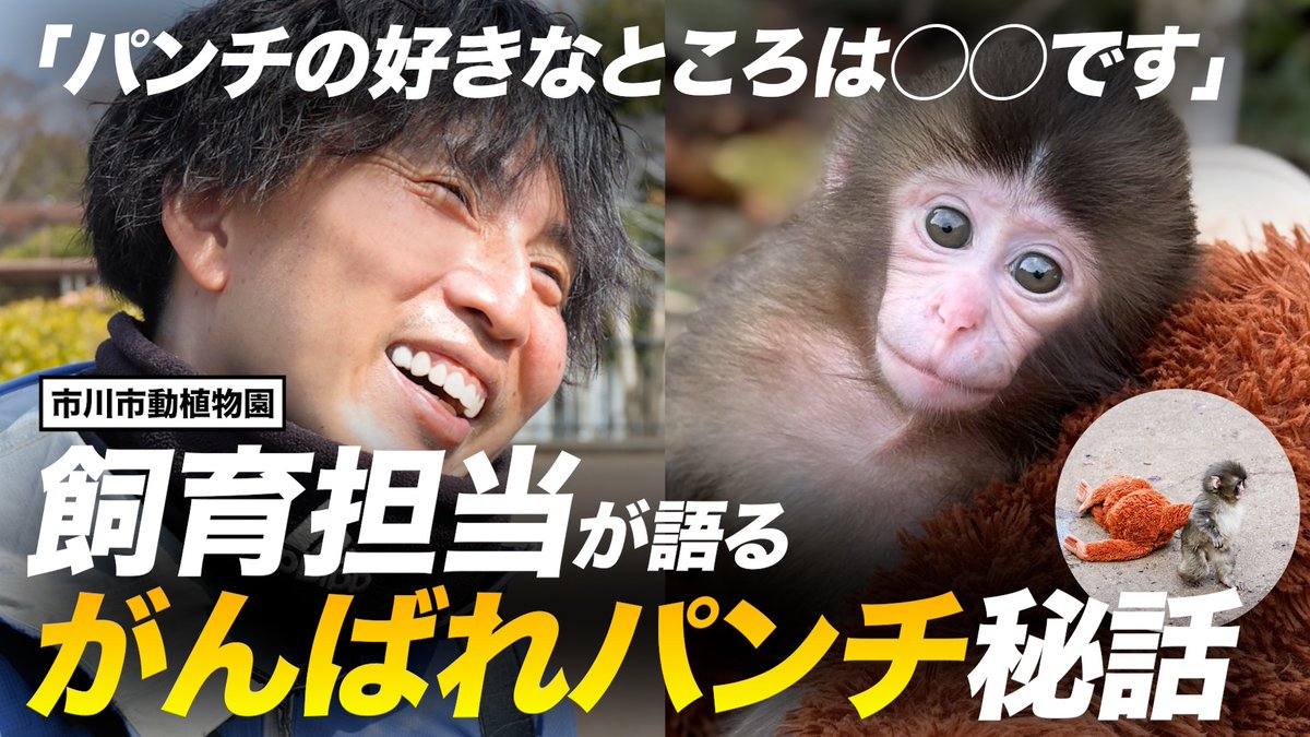 市川市動植物園（公式） tweet media