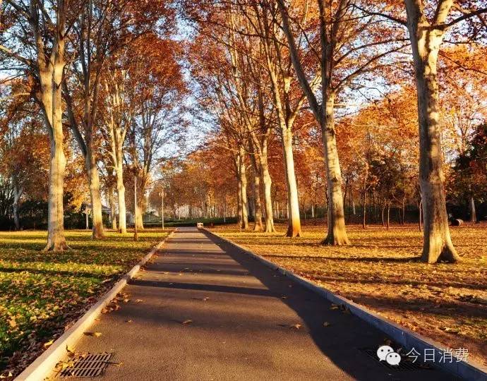 Carl Erik Olsen tweet media