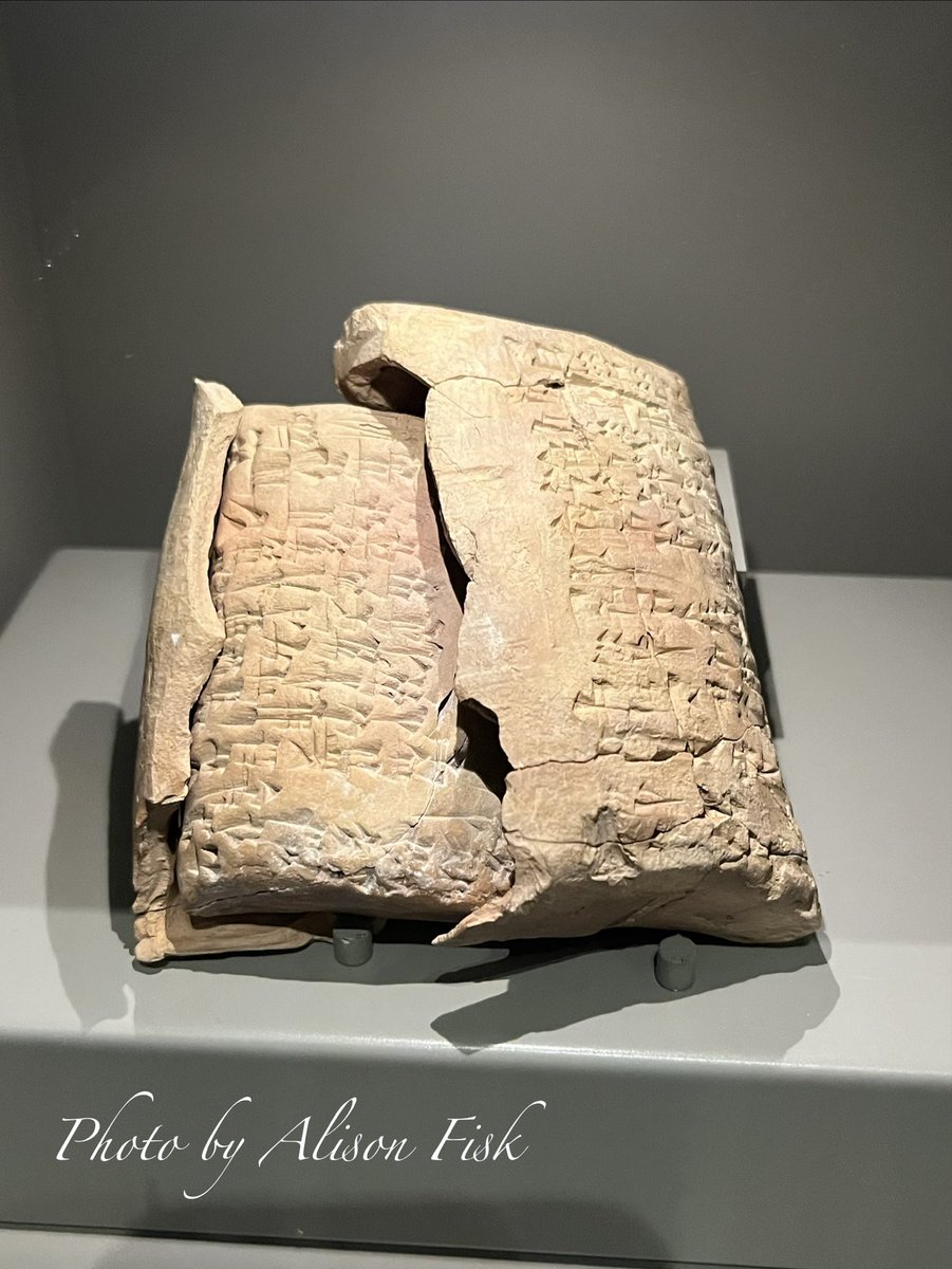 Alison Fisk tweet media