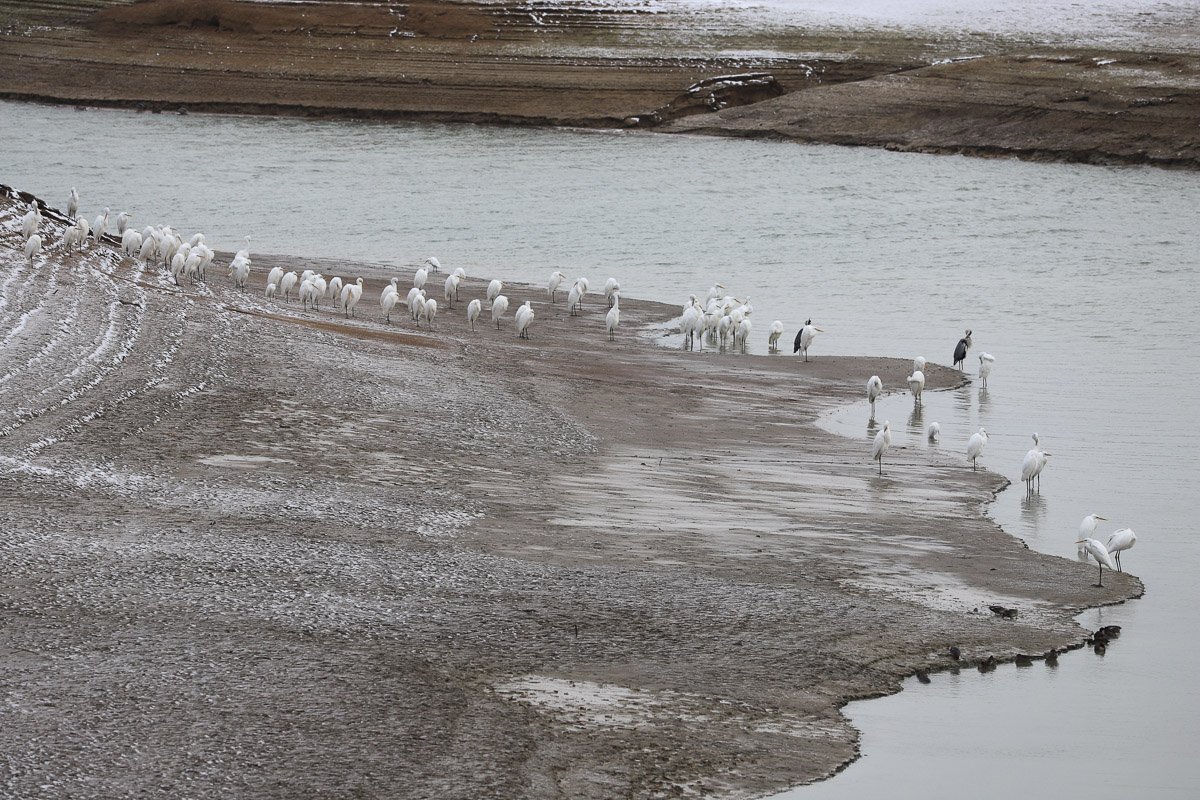 Le Ffrench tweet media