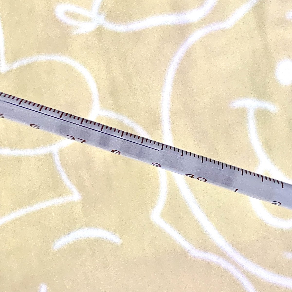 2Limi米🍚 tweet media