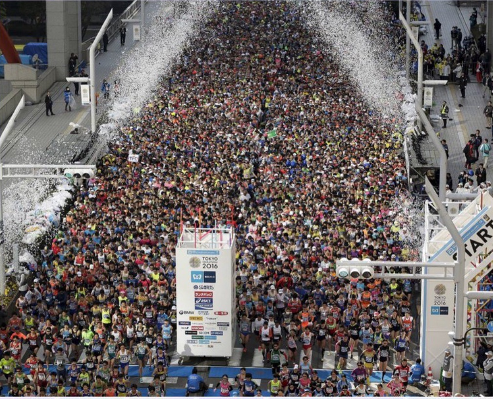 凄威拳拳 tweet media