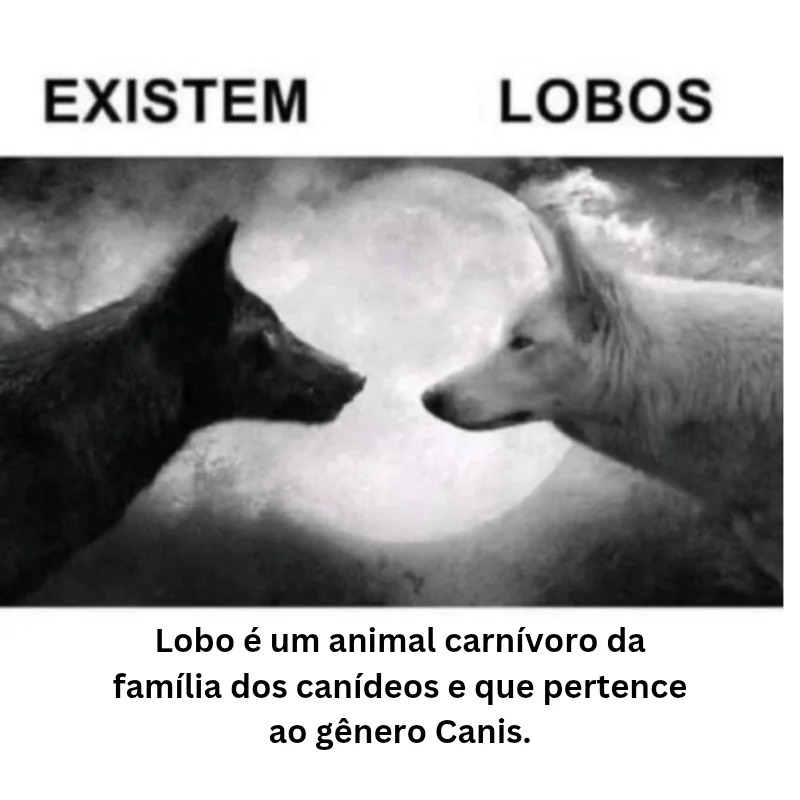 Página Séria. (@apaginaseria) on Twitter photo 