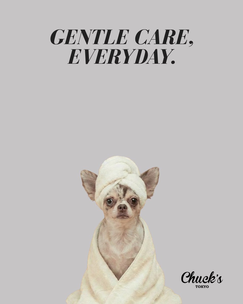 ChucksTokyo's tweet image. Gentle care, everyday.

Not just a routine,
but a moment you share.

A gentle moment.

やさしいケアを、毎日。

ただの習慣じゃなくて、
一緒に過ごす時間。

やさしい時間を.。o○

#chuckstokyo #dogcare #犬シャンプー #チャックストウキョウ #ドッグケア #犬ケア用品 #涙焼け #スキンケア