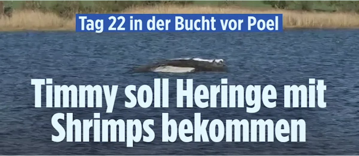 Frédéric Schwilden tweet media