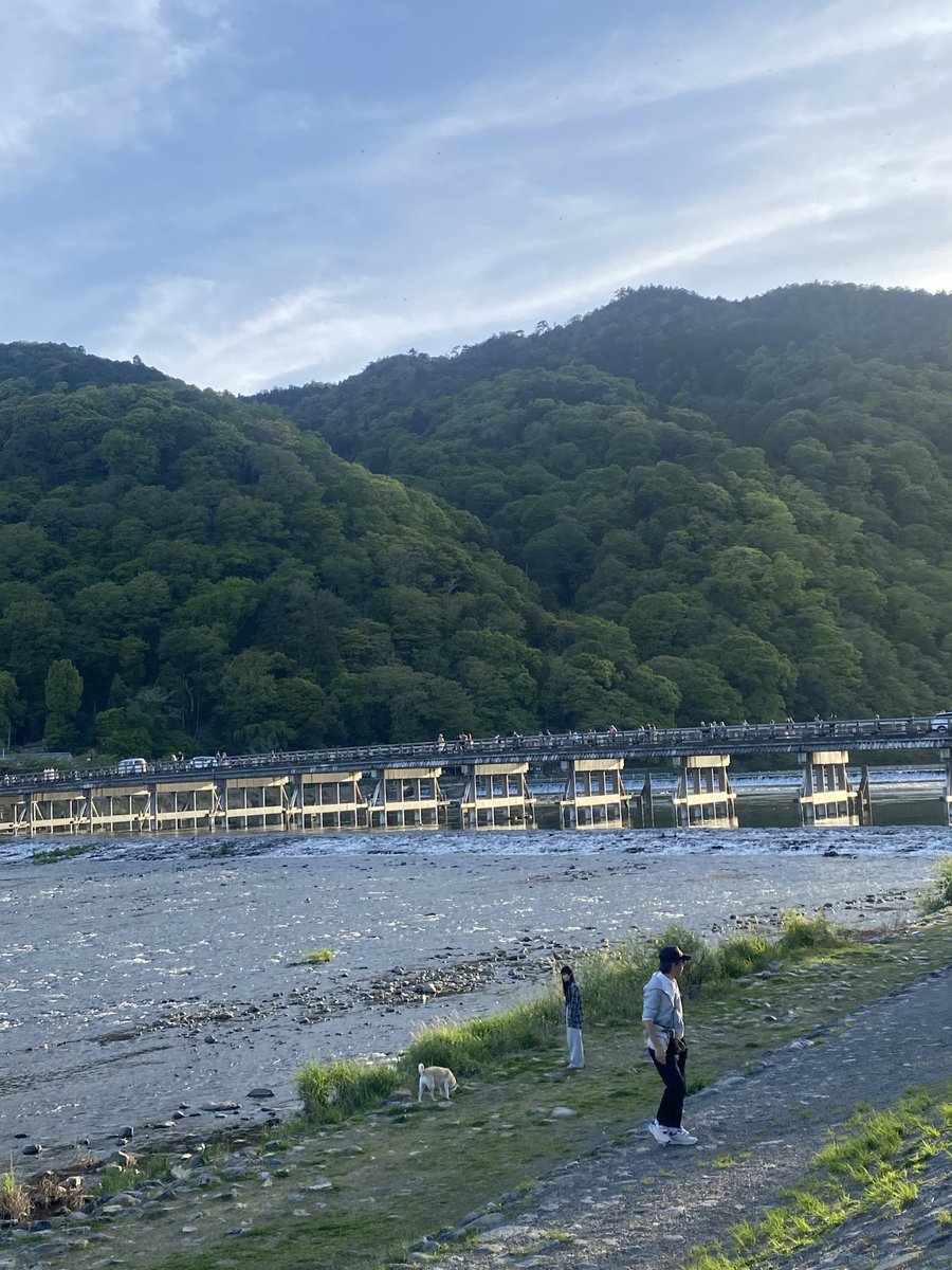 カズッキーニ tweet media