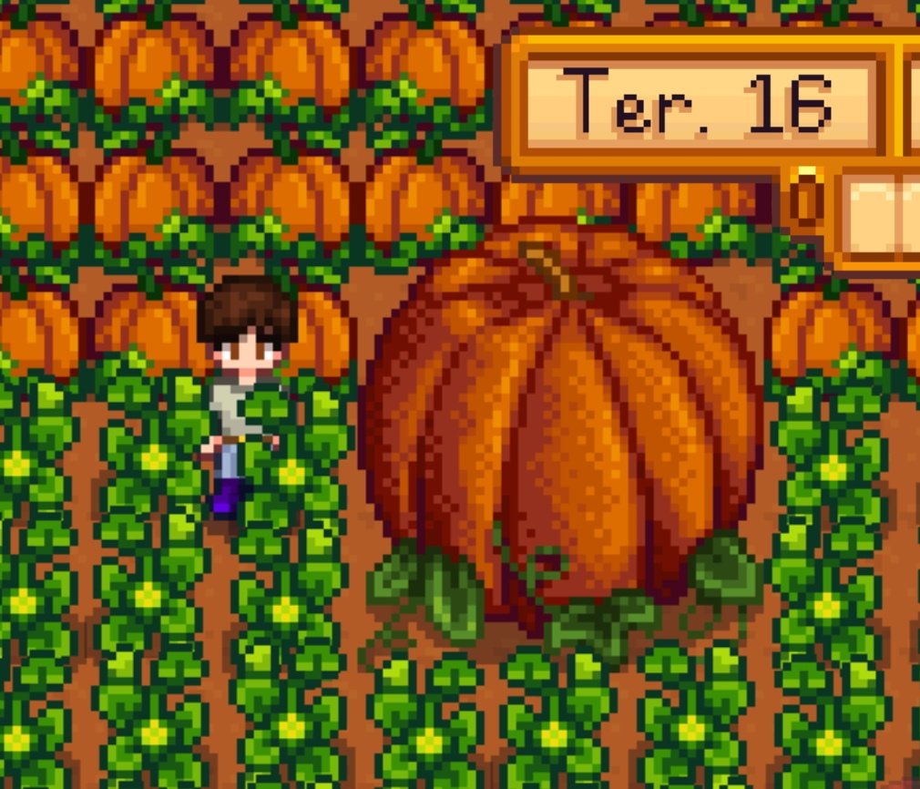 João Flores tweet media