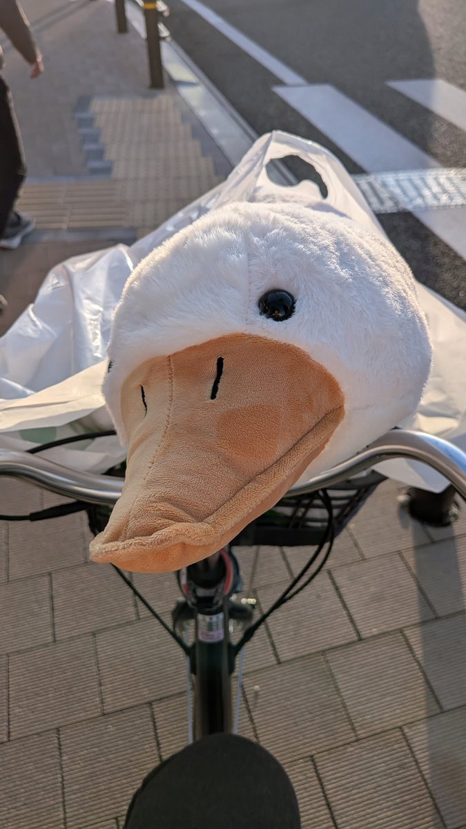 あいこ😶‍🌫️ tweet media