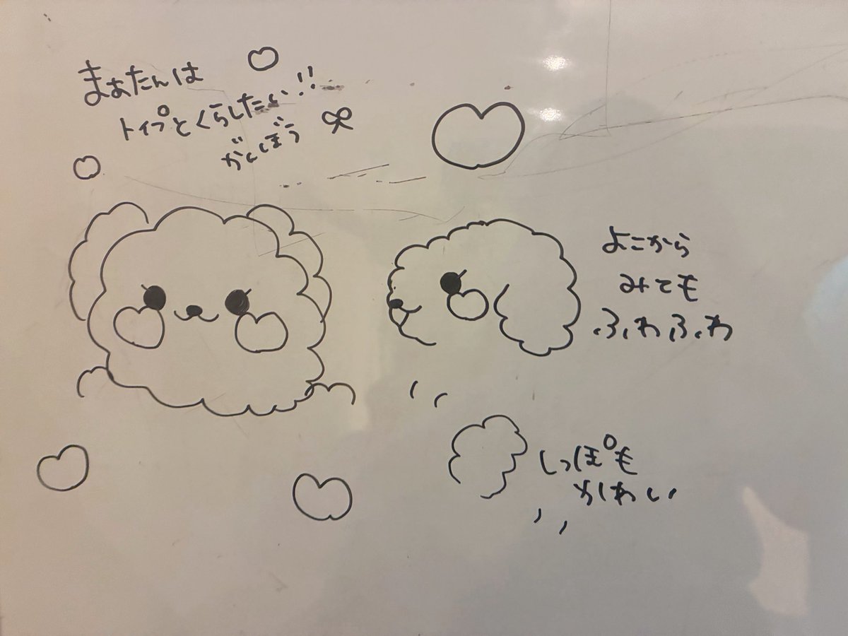 白雪 真咲‎ 🍚🎀 びっくえんじぇる tweet media