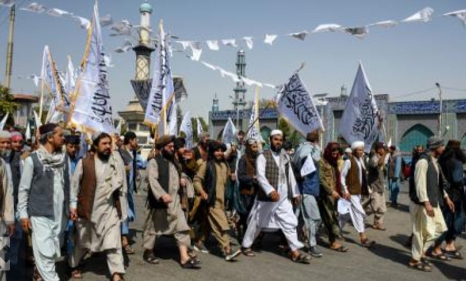 ماحصل البارحة أصاب السيد الرئيس بالحرج 
ويبدو ذلك مقصود لتشويه سمعة الشرع وأهل الثورة وأهل ادلب الفاتحين لسوريا ..
ومثالا على ذلك .
لدى الأفغان حاجة ممتازة عند أفتتاحهم لمعمل مدرسة أو مسجد أو ملعب أو صالة رياضية 
يظهر لديهم حاجة واحدة أن لله فضل عليهم في كل شيء ودائما ماتجدهم