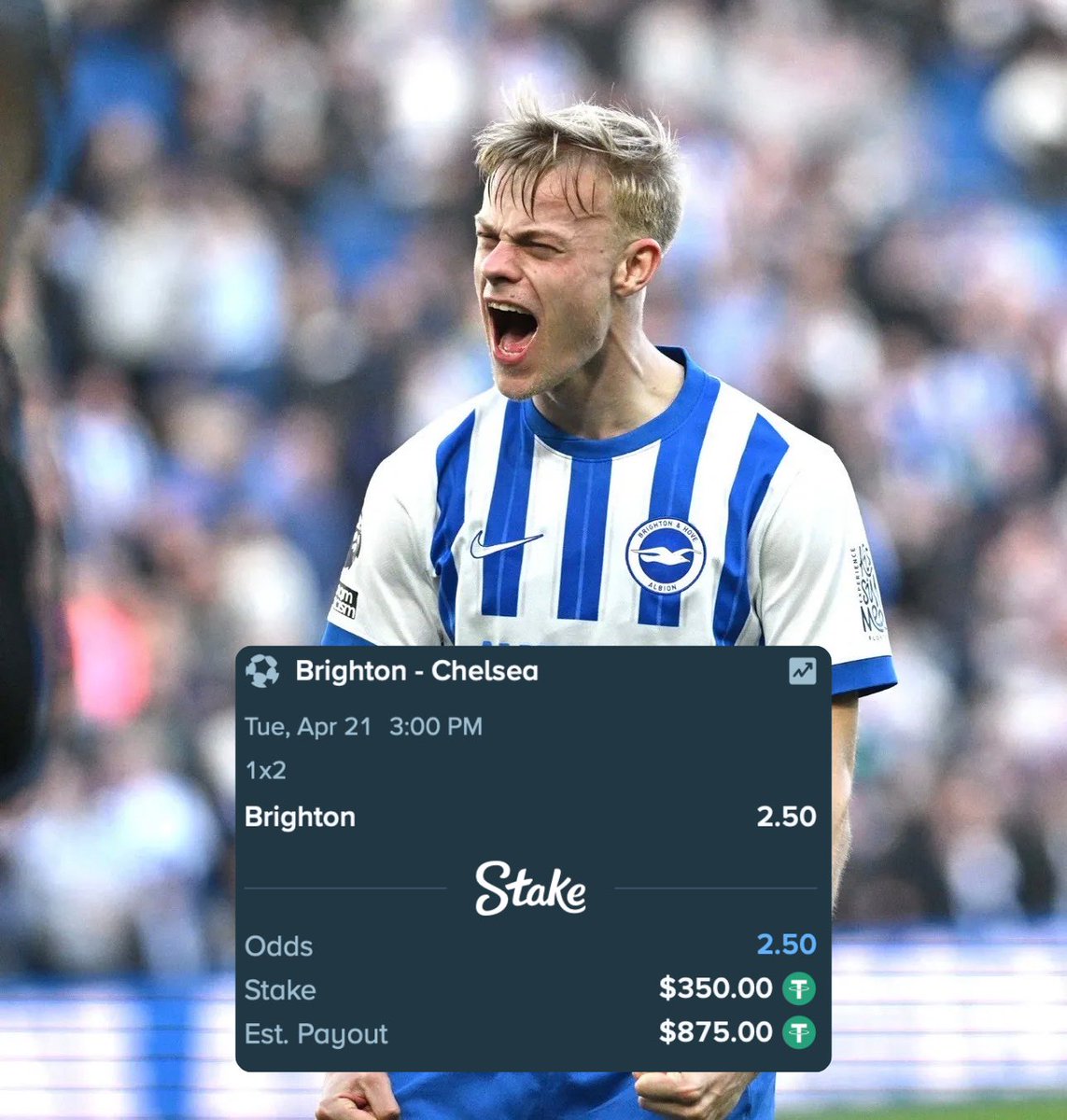 🥤𝐁𝐚𝐧𝐤𝐬 tweet media