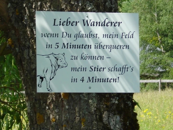 Bergwelt🇨🇭 tweet media