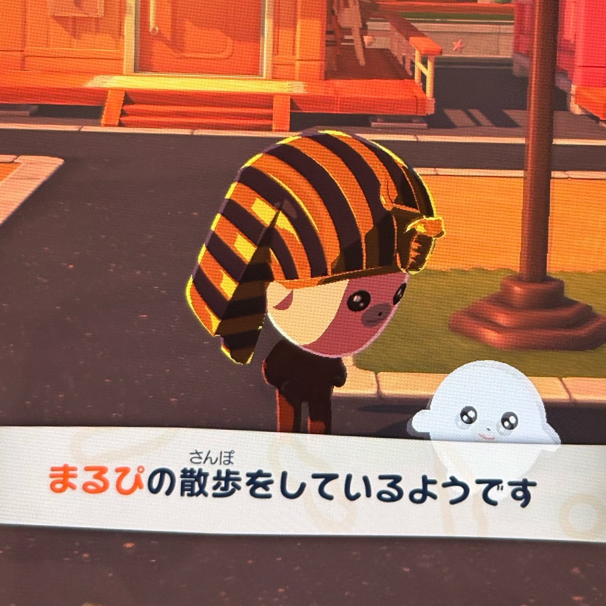 まるぴ tweet media