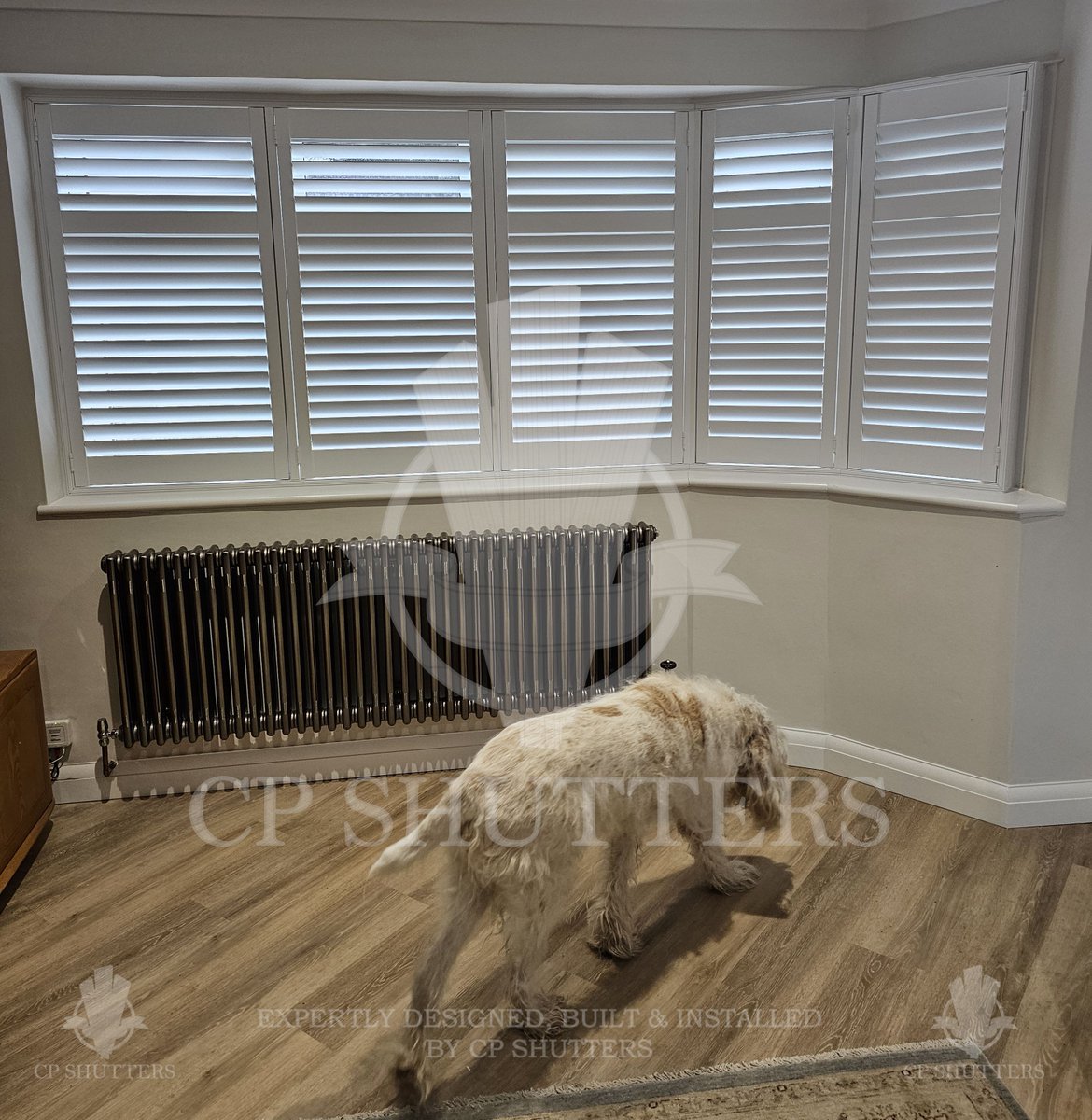 cpshutters's tweet photo. For our lovely customer in Upminster and her furry friend, we designed and installed our Elmstead Pure White Full Height with Mid-Rail Design Shutters in a 5 panel bay window. 
Call us on 01702 686970 to book your free home survey. #cpshutters #upminstershutters #haveringshutters https://t.co/MAwqG2BK1H