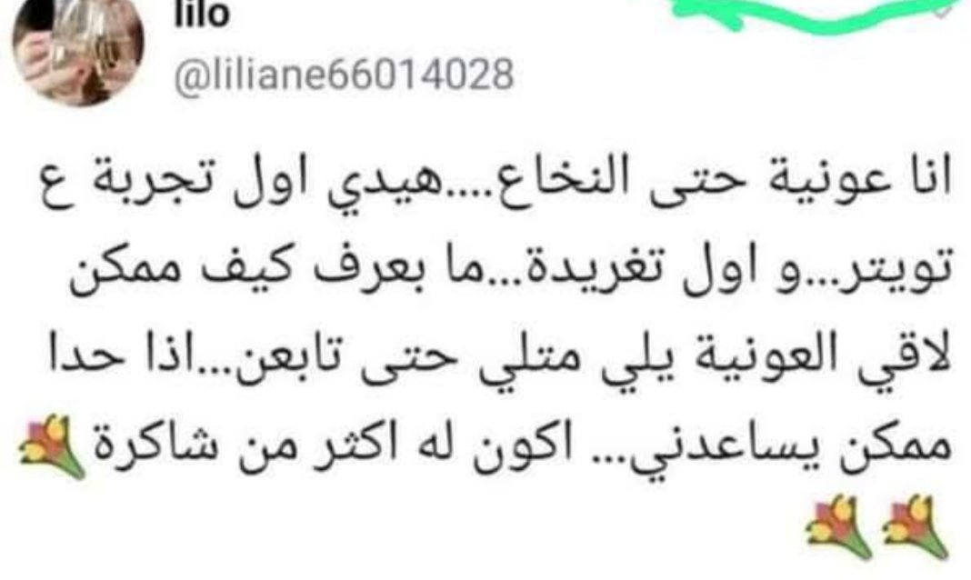 manal mimo tweet media