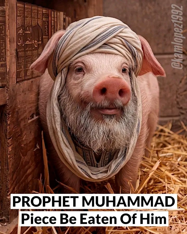 Ambassador 🐐 tweet media