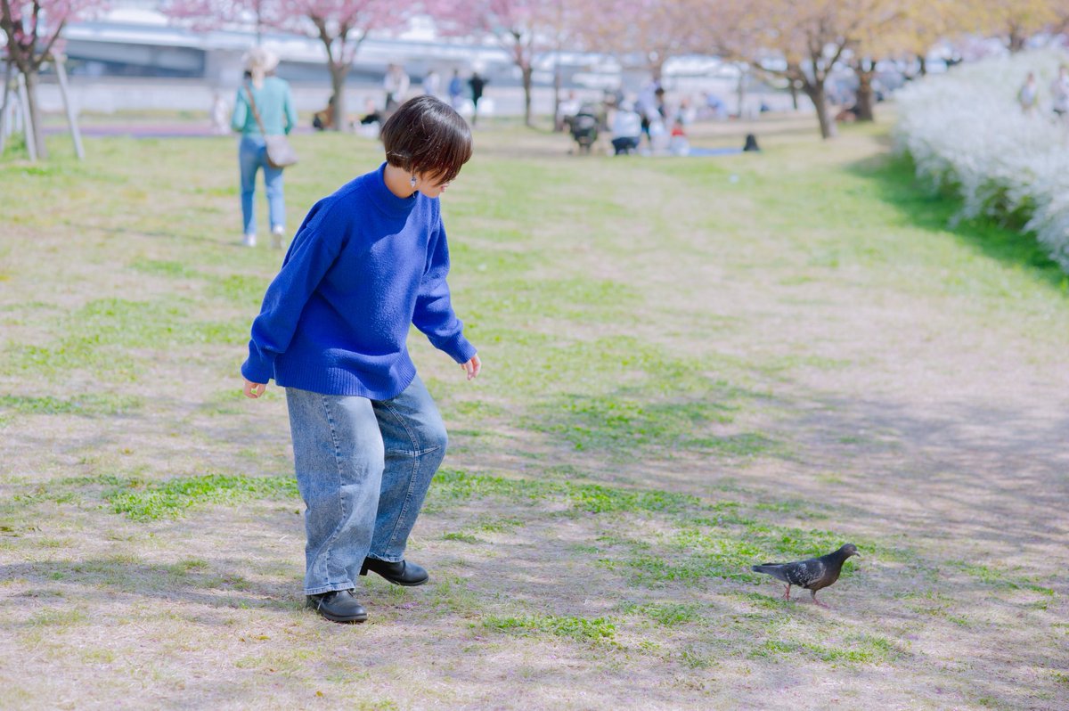 鳩を追いかけるホログラムでも見てください
📷おもちちゃん