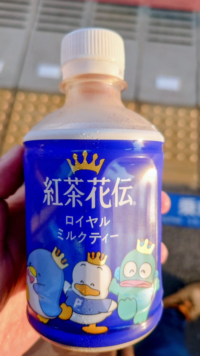 めいど王子@159 tweet media