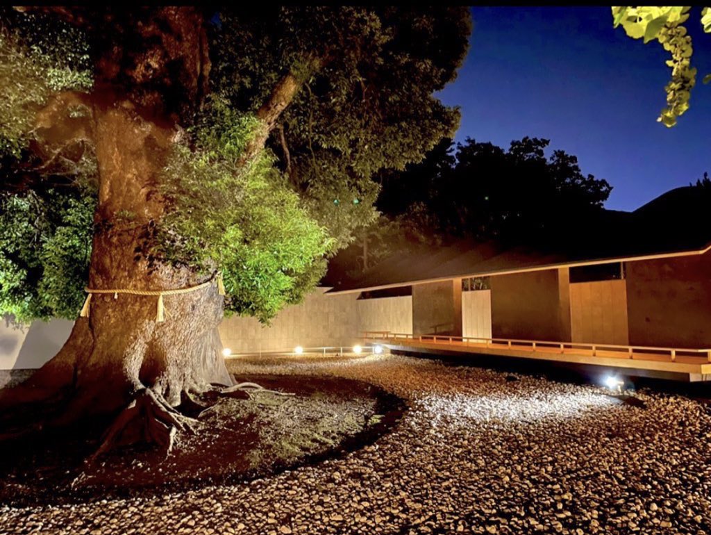 上野東照宮【公式】 tweet media