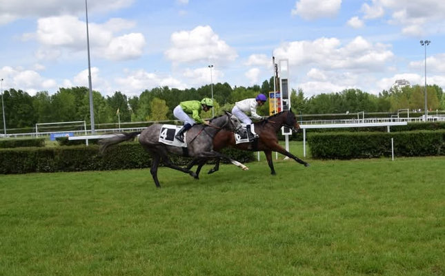 lefebvrefabien1's tweet photo. 🌟100%🌟 on Sunday at Orleans🇫🇷:
- 🥇#Enigmatic🐎 - A. Fouassier
- 🥈#BoucleteDAuteuille🐎 - C. Lefèbvre
Photo: Hippodrome Orléans
Agents: Lisa Pauwels🇧🇪 - @CarlWjtsk🇫🇷 https://t.co/m2kf6irPZq