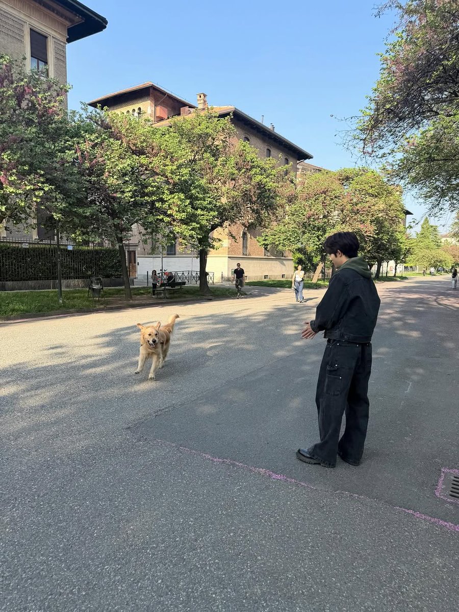 WeiShenV📸 tweet media