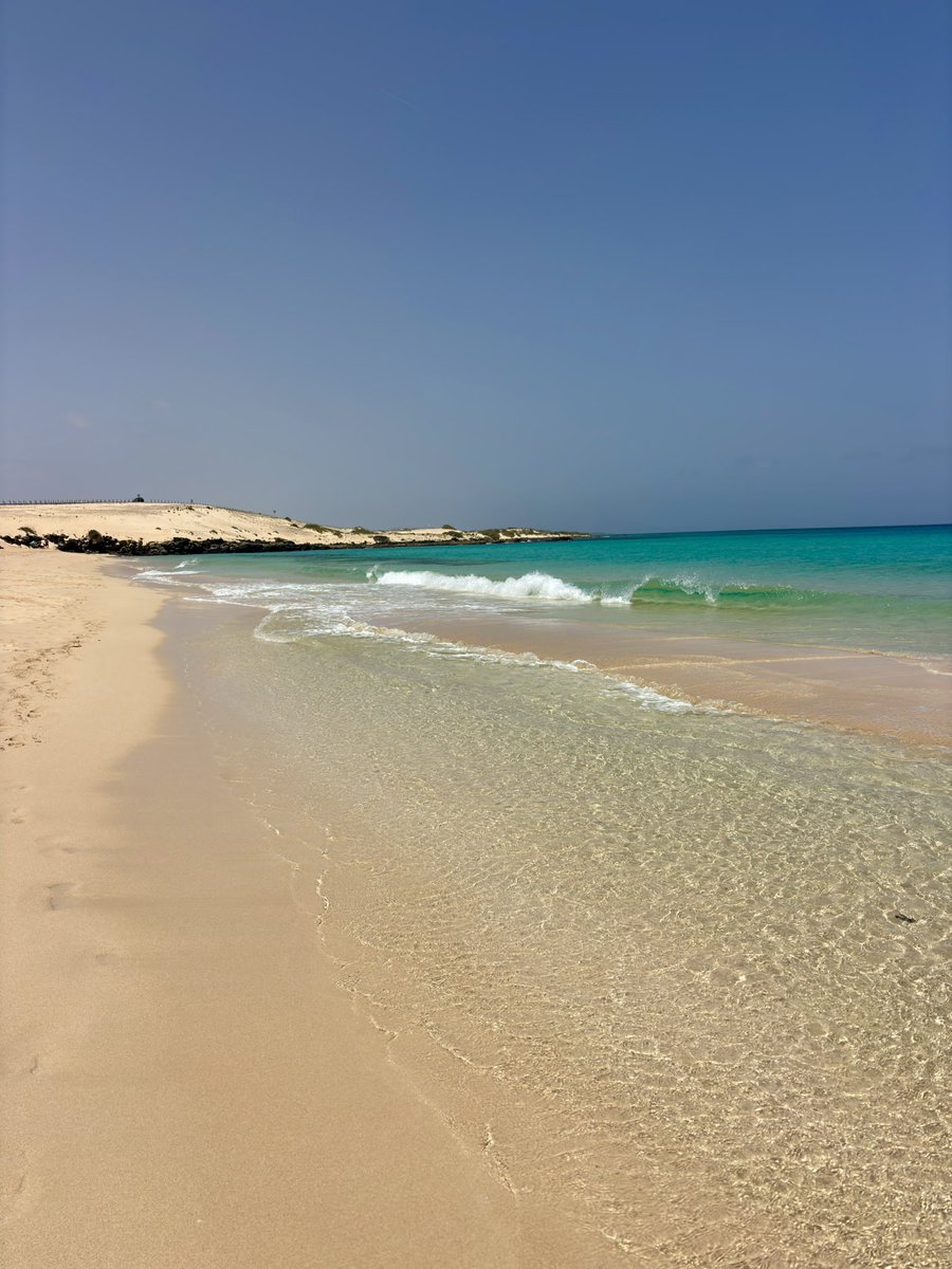 AitorCurbelo tweet media