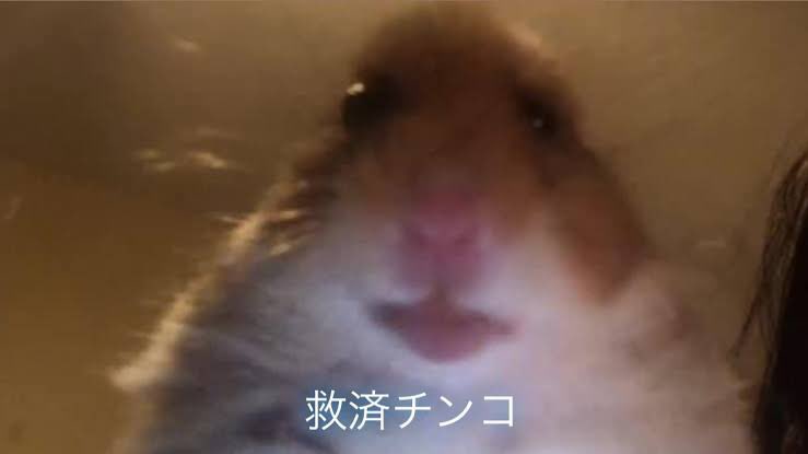 秋将 tweet media