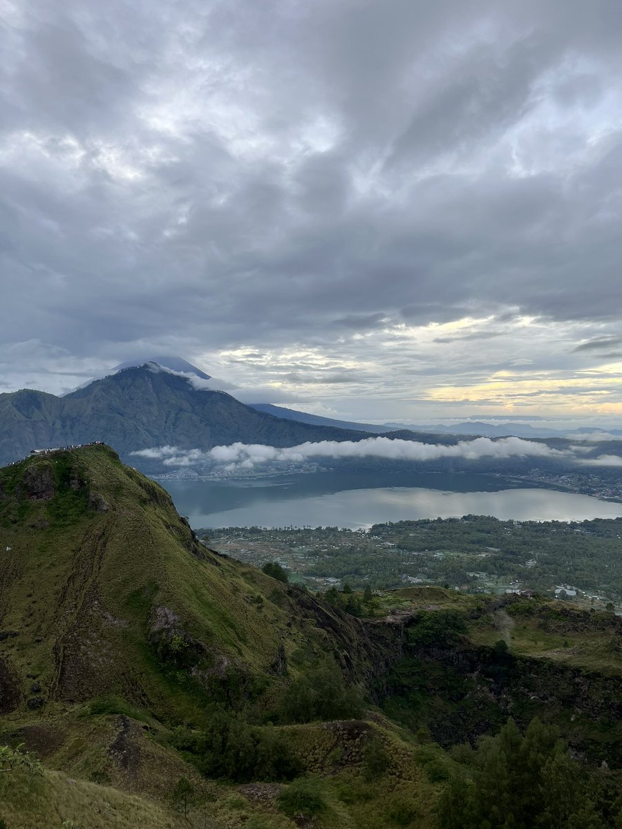 pengen jadi sapi tweet media