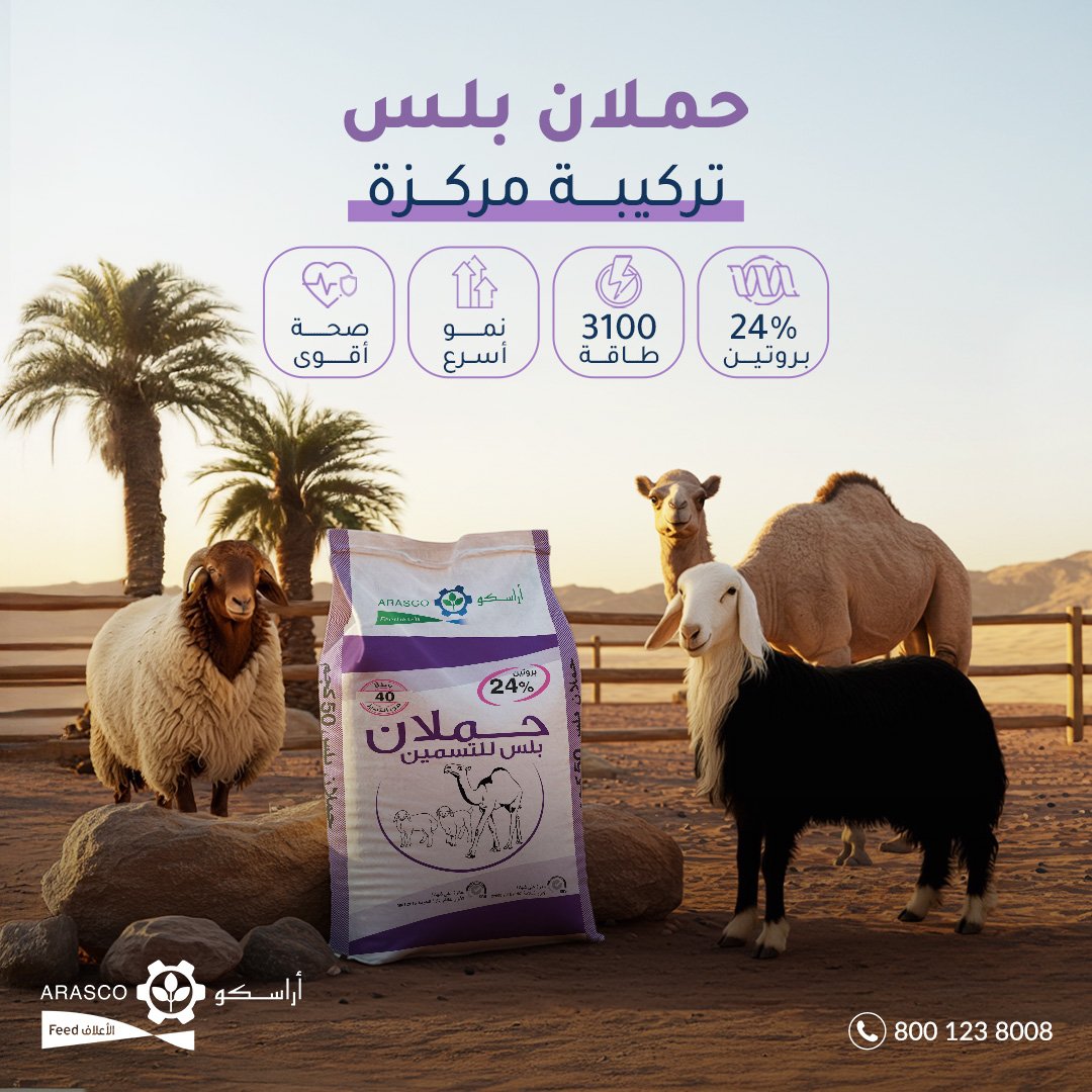 أعلاف أراسكو (وافي) tweet media