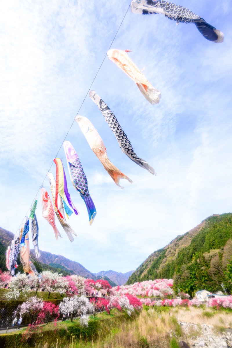 毎日ご銘 茶杓の銘「大空（おおぞら）」 📝お稽古メモ この時期に大空