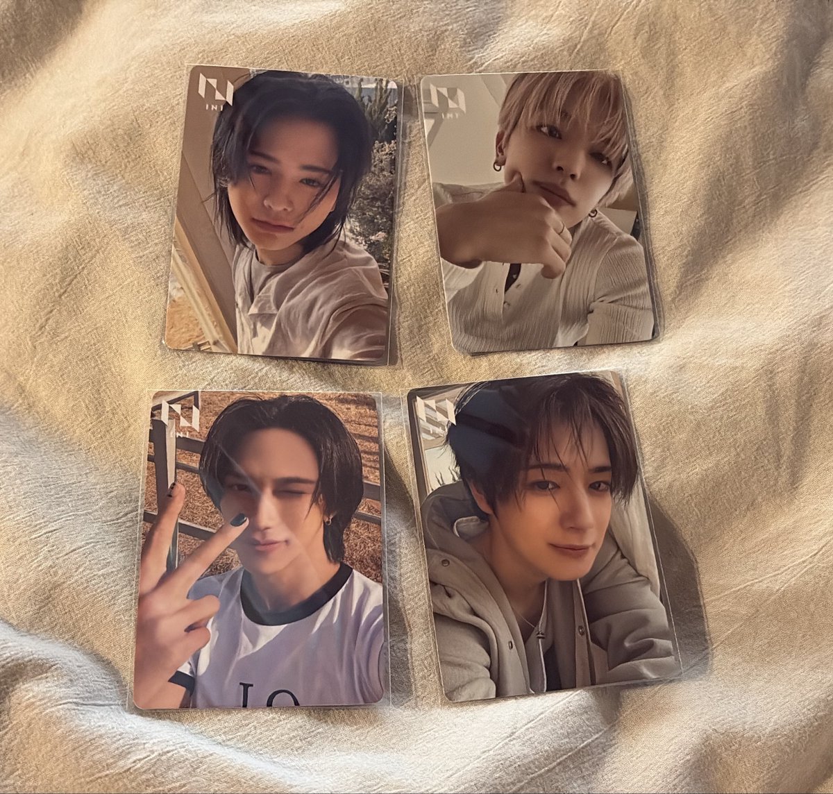 ꪔ̤♡ tweet media