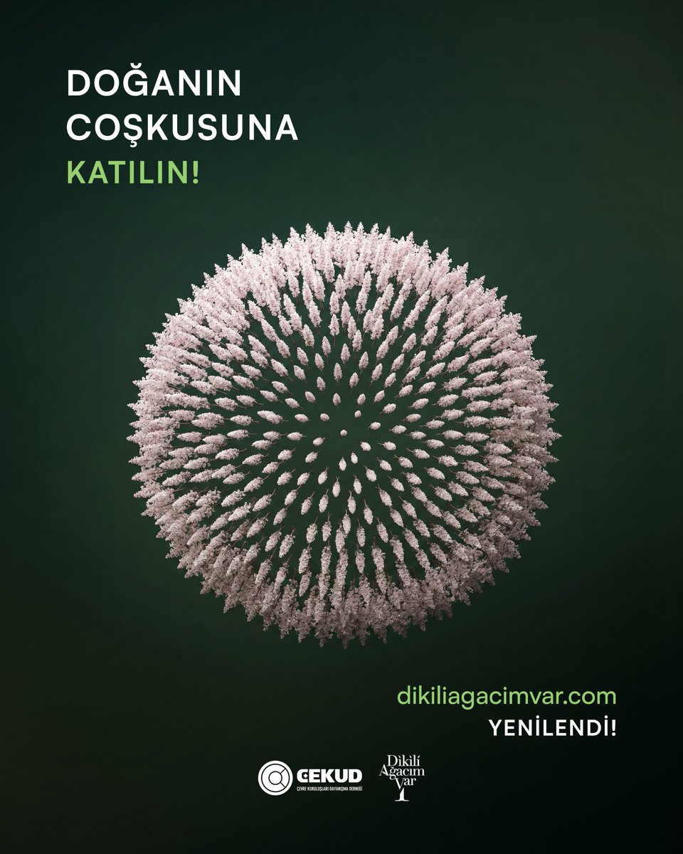 ÇEKUD tweet media