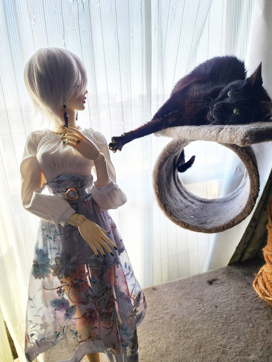 じじぃ tweet media