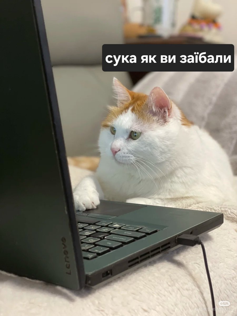 Cimmerian tweet media