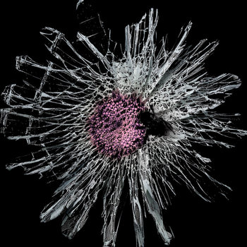 KMANRIFFSMetal's tweet image. FULL FORCE FRIDAY:🆕Apr 24th 4⃣1⃣🎧

SHADOWLANDS - 004 🇺🇸⚛️

4th album from Portland, Oregon, U.S Post-Punk/Dark Wave/Horror Synth outfit⚛️

BC➡️shadowlands.bandcamp.com/album/004 ⚛️

#Shadowlands #00four #PostPunk #Darkwave #SeeingRedRecords #FFFApr24 #KMäN