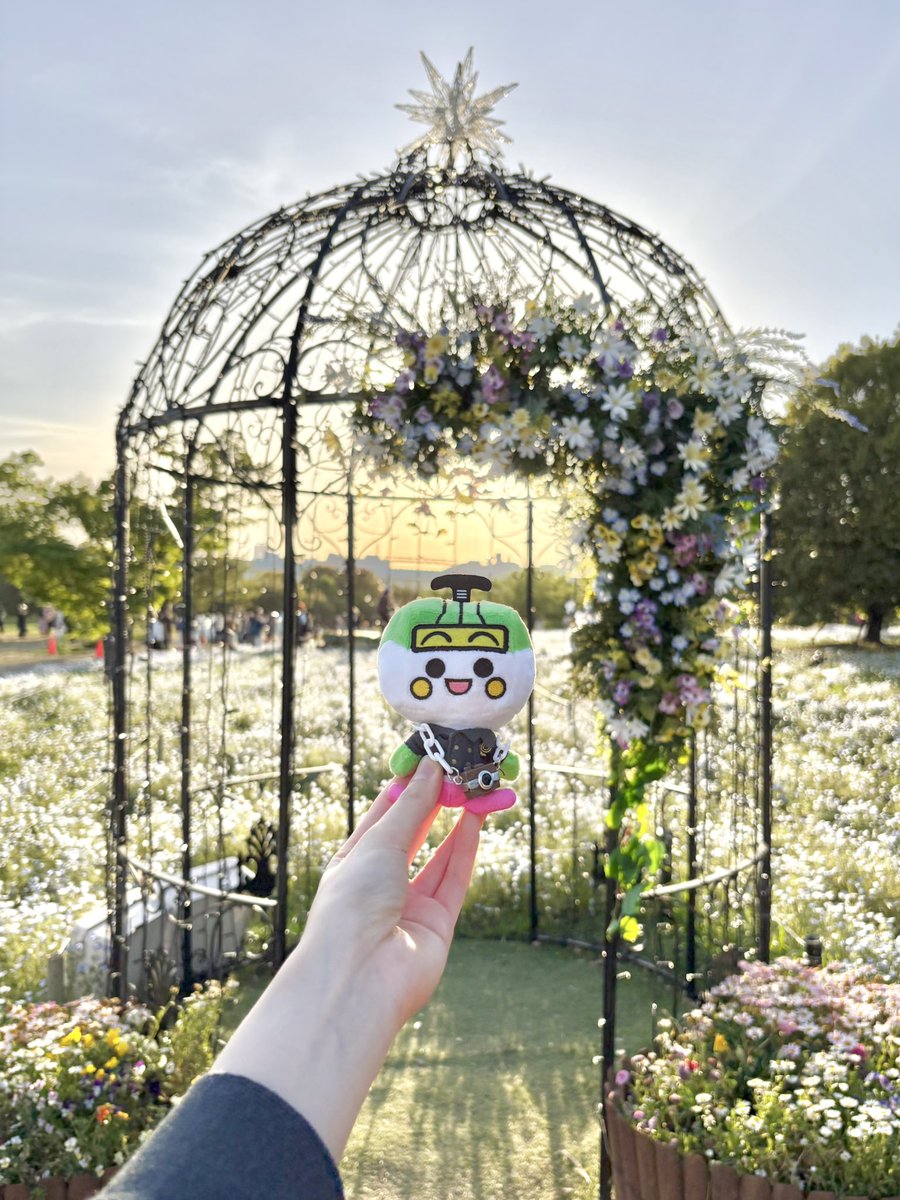 𝑆ℎ𝑖𝑛𝑦……✨