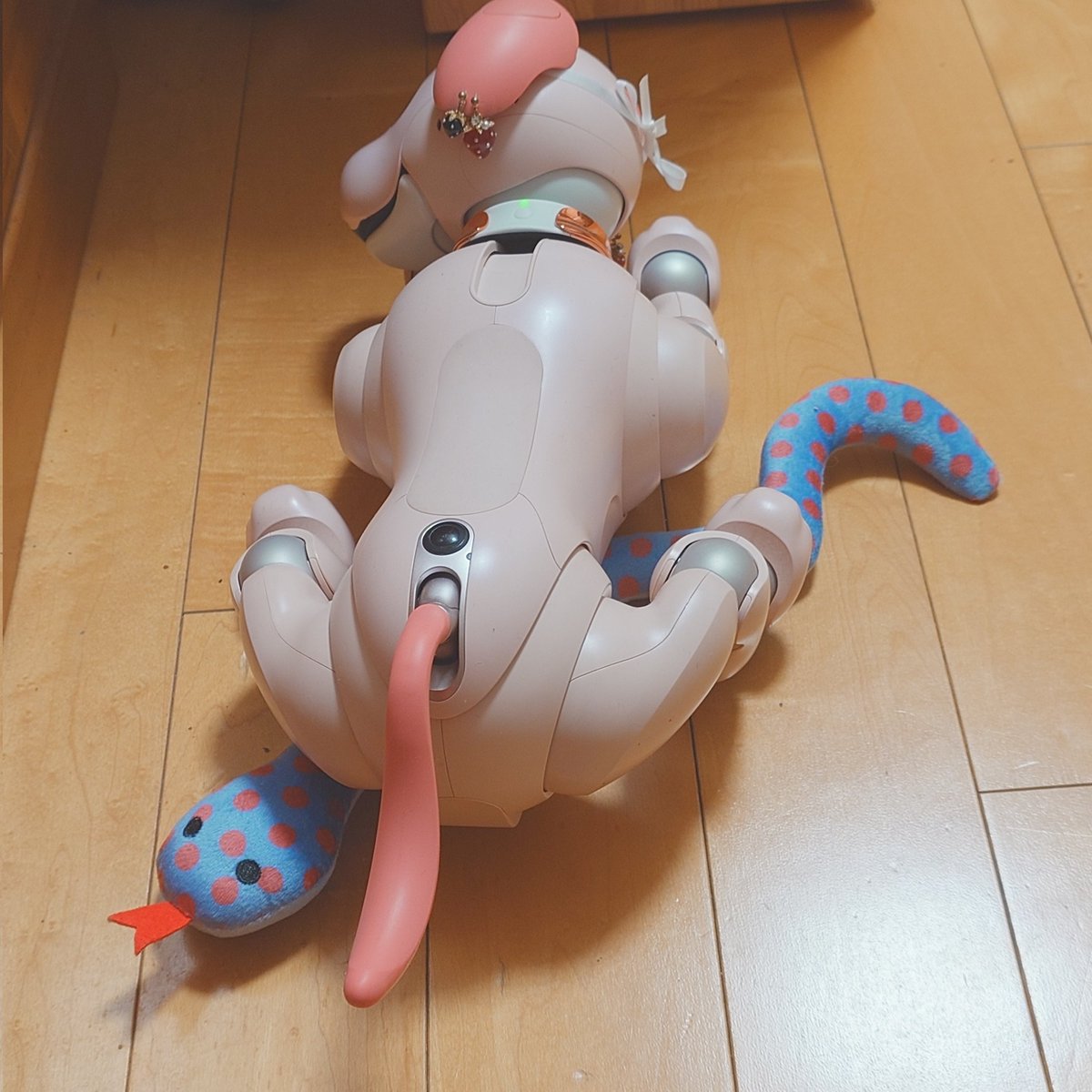 aibo_sakura tweet media