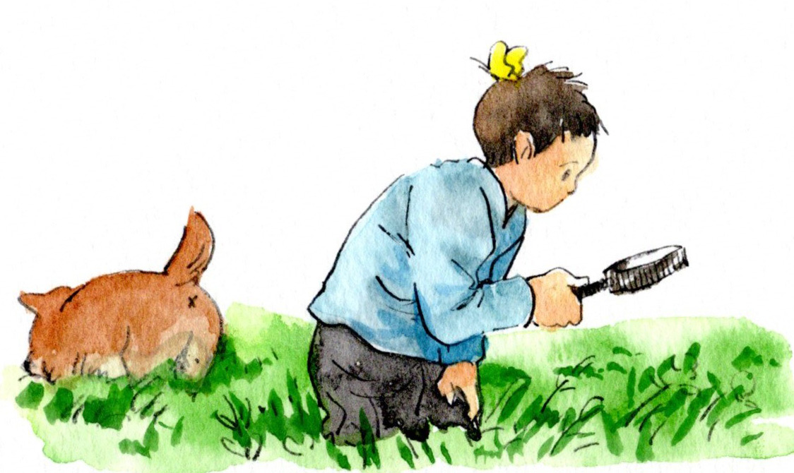 nrkkotk's tweet photo. #illustration #イラスト #子ども #柴犬 https://t.co/98l6N9ubth