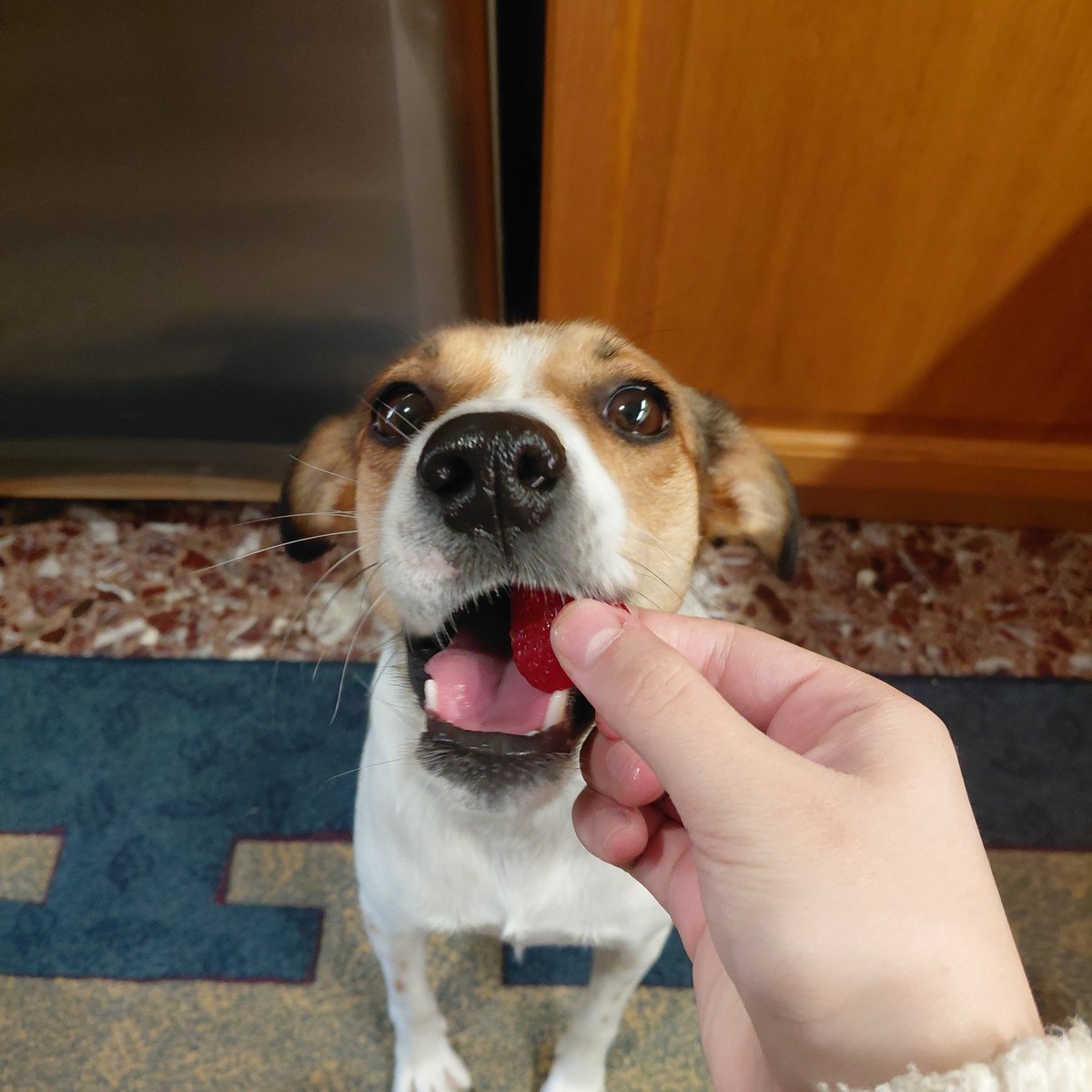 ♡: liv tweet media