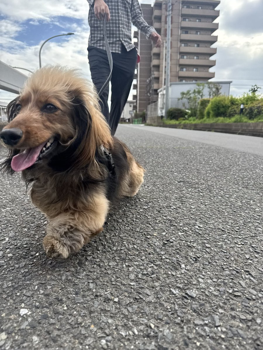 おこげ(大爆発) tweet media