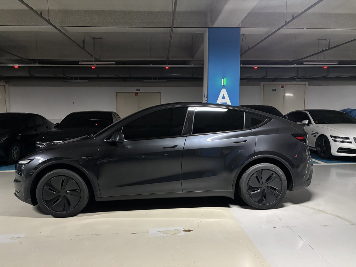 Vortex-TSLA tweet media