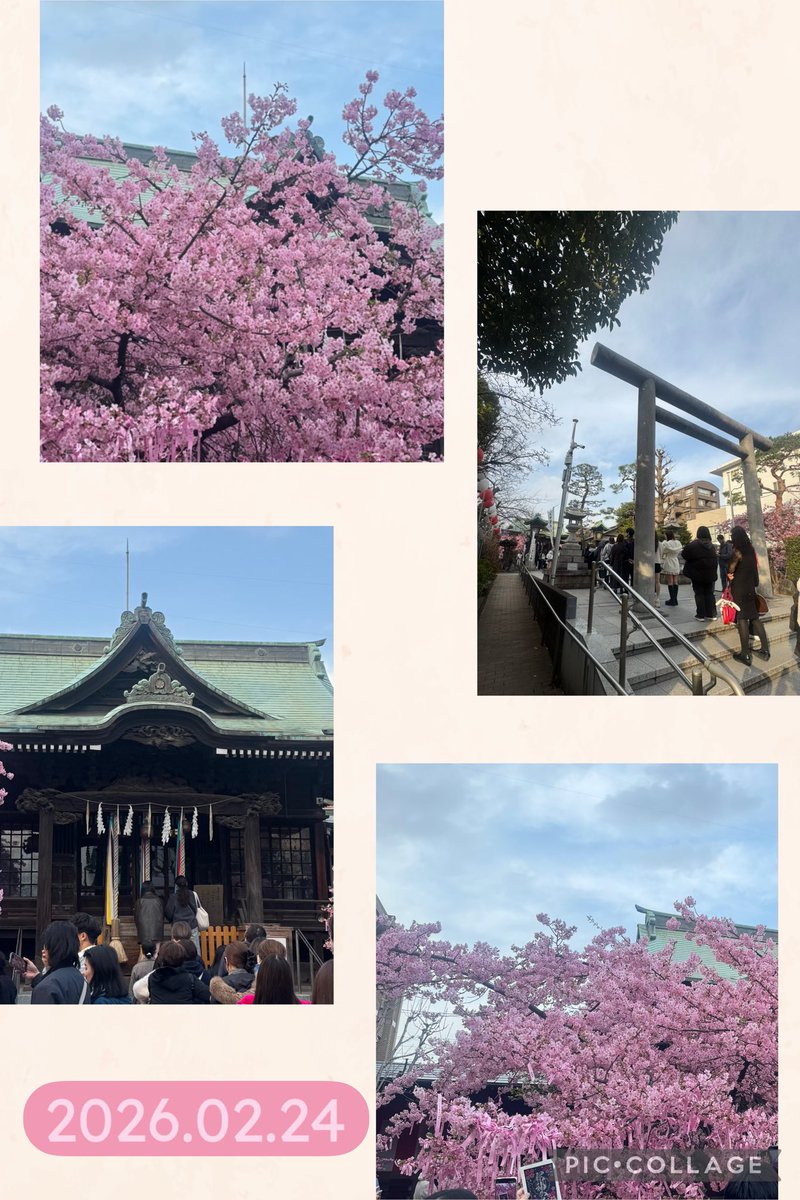 亜海風🫧🕊🫧 tweet media