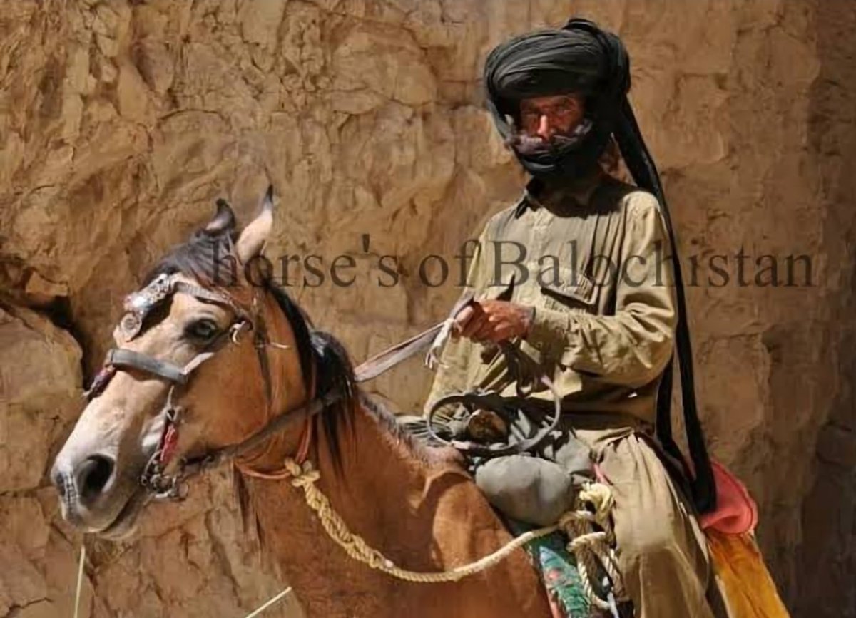 Baloch-Iran Neolithic BMAC,IVC tweet media