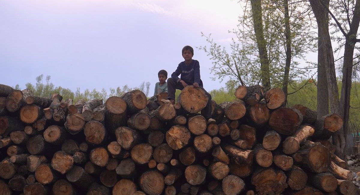 KashmirLife's tweet image. Kashmir's Wullar Lake

Kashmir Life's @ishoaibnazir  documented #Wullar Lake, #Kashmir’s lifeline and #Asia’s vast freshwater treasure, sustaining livelihoods, wildlife, and centuries of history, through their lens. See photos