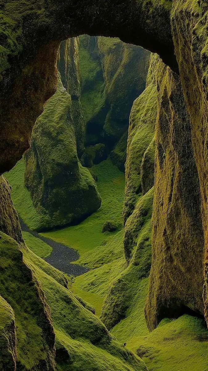 𝑙𝑦𝑟𝑎 tweet media