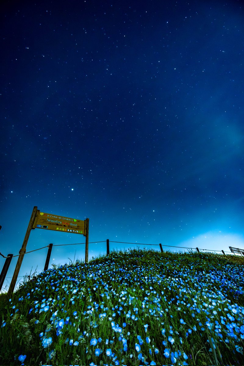 Takumi 週末フォトグラファー tweet media