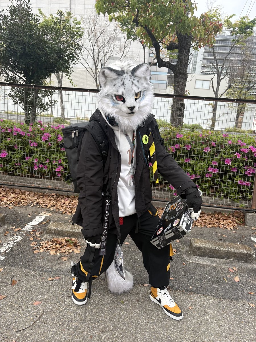緑犬弥 シオラ🐶💚 〜就活中〜 tweet media