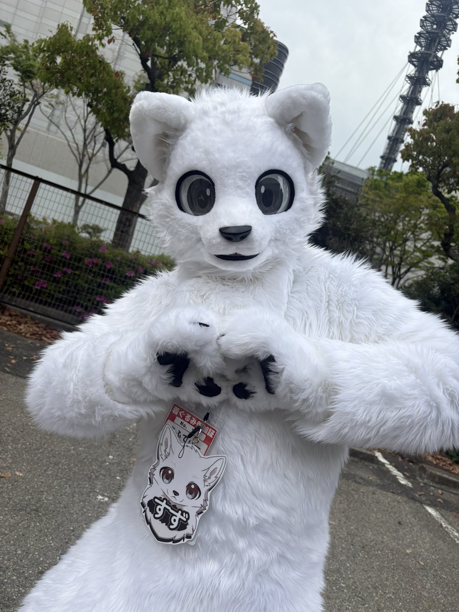 緑犬弥 シオラ🐶💚 〜就活中〜 tweet media