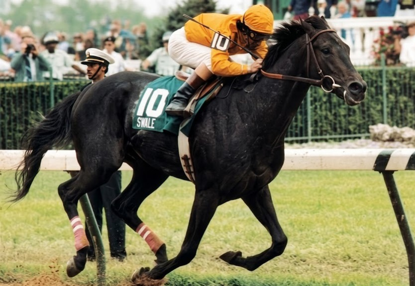blindadosalas1's tweet image. #Hipismo #InMemoriam El 21/04/1981 nació SWALE 🇺🇲 Otro de los hijos campeones de SEATTLE SLEW. Campeón de 3 años (1984, Post Mortem) Doble Coronado #KentuckyDerby #BelmontStakes

Falleció el 17/06/1984 de Fibrosis Cardíaca, tan solo ocho días después de ganar el #BelmontStakes