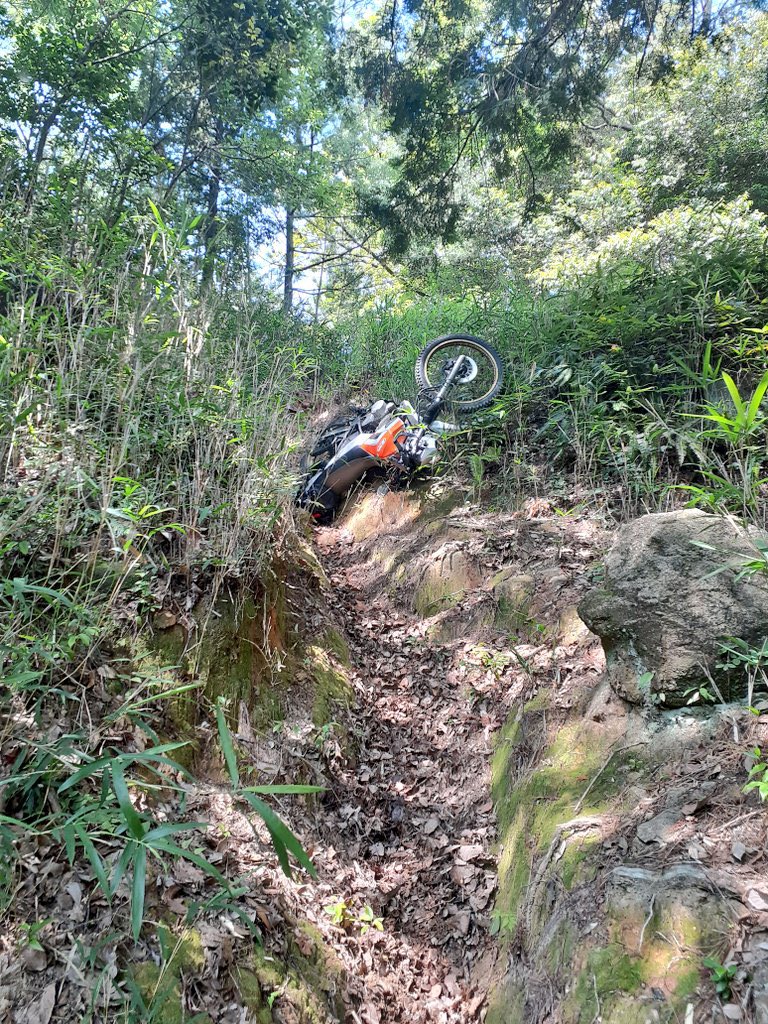 TAKUみ(ノスフェラトゥてねれ)🏍️🐶🐸 tweet media